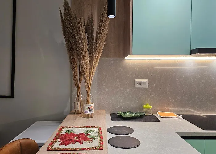 Elegant One Bedroom Myslym Shyri Διαμέρισμα *